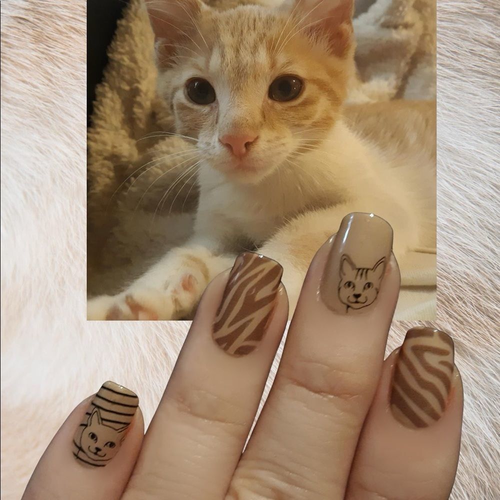 Color Street | All wild up, an animal neutral creme finish - Picture 8 of 8